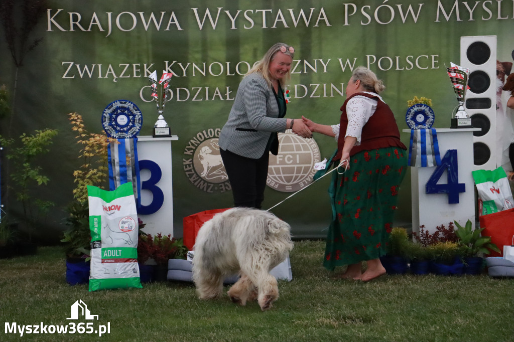 Fotorelacja - Wystawa Psów Rasowych GNIAZDÓW 2024r. SOBOTA II