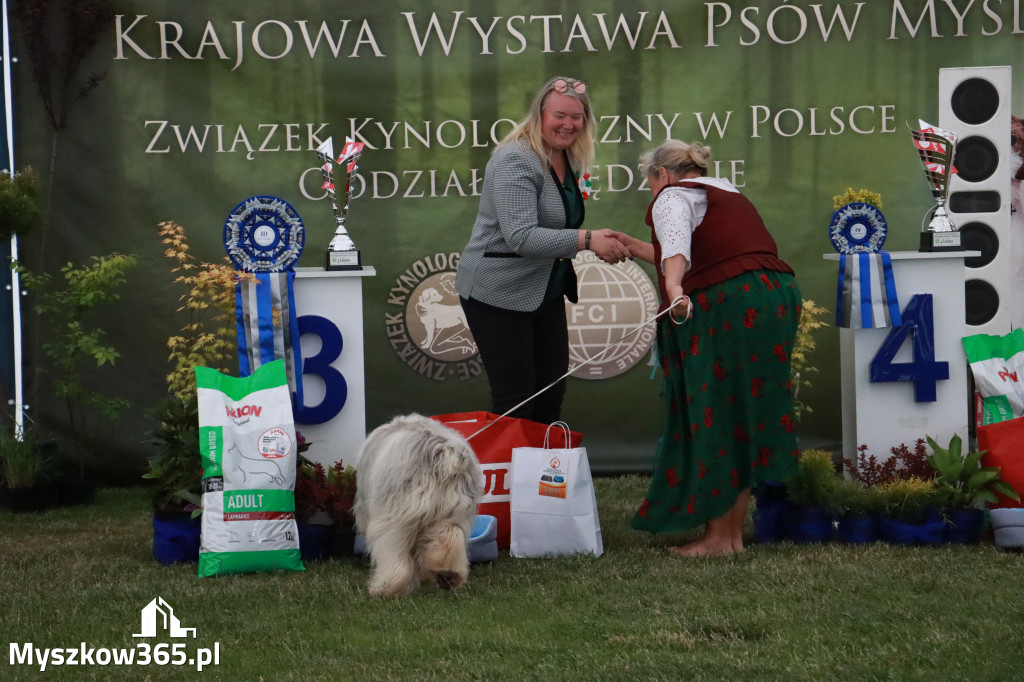 Fotorelacja - Wystawa Psów Rasowych GNIAZDÓW 2024r. SOBOTA II