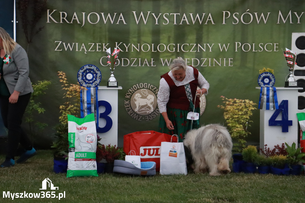 Fotorelacja - Wystawa Psów Rasowych GNIAZDÓW 2024r. SOBOTA II