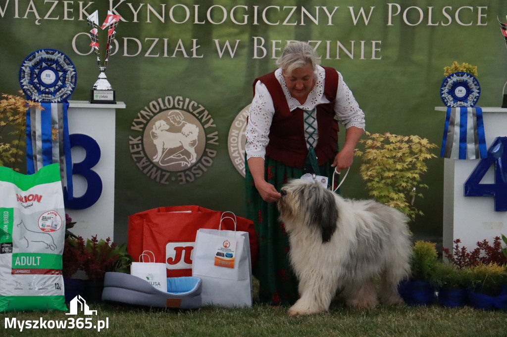 Fotorelacja - Wystawa Psów Rasowych GNIAZDÓW 2024r. SOBOTA II