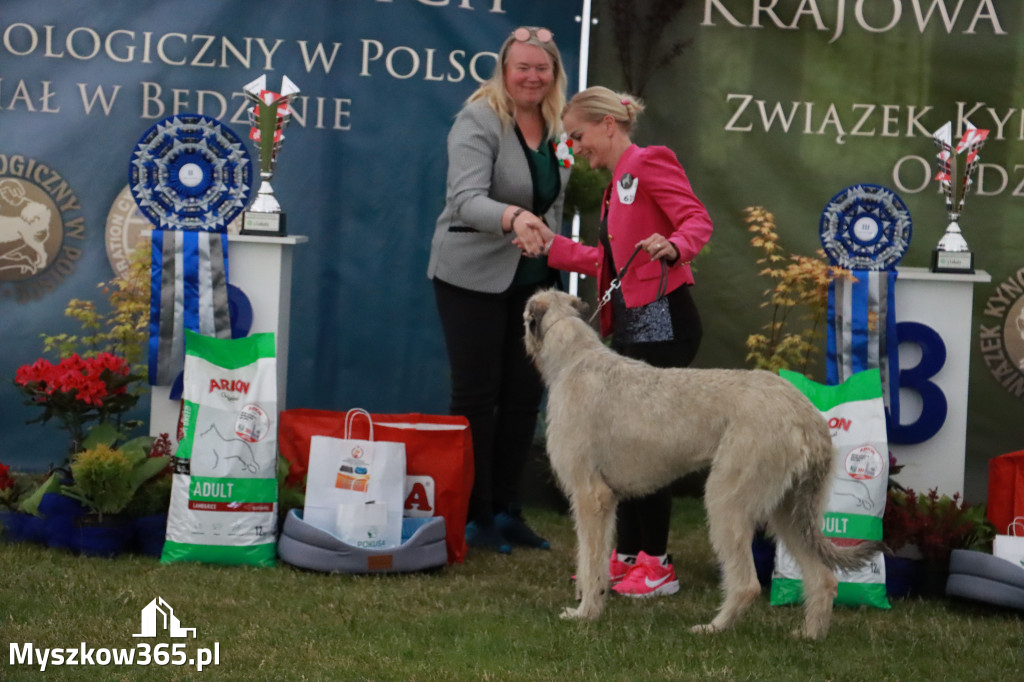 Fotorelacja - Wystawa Psów Rasowych GNIAZDÓW 2024r. SOBOTA II