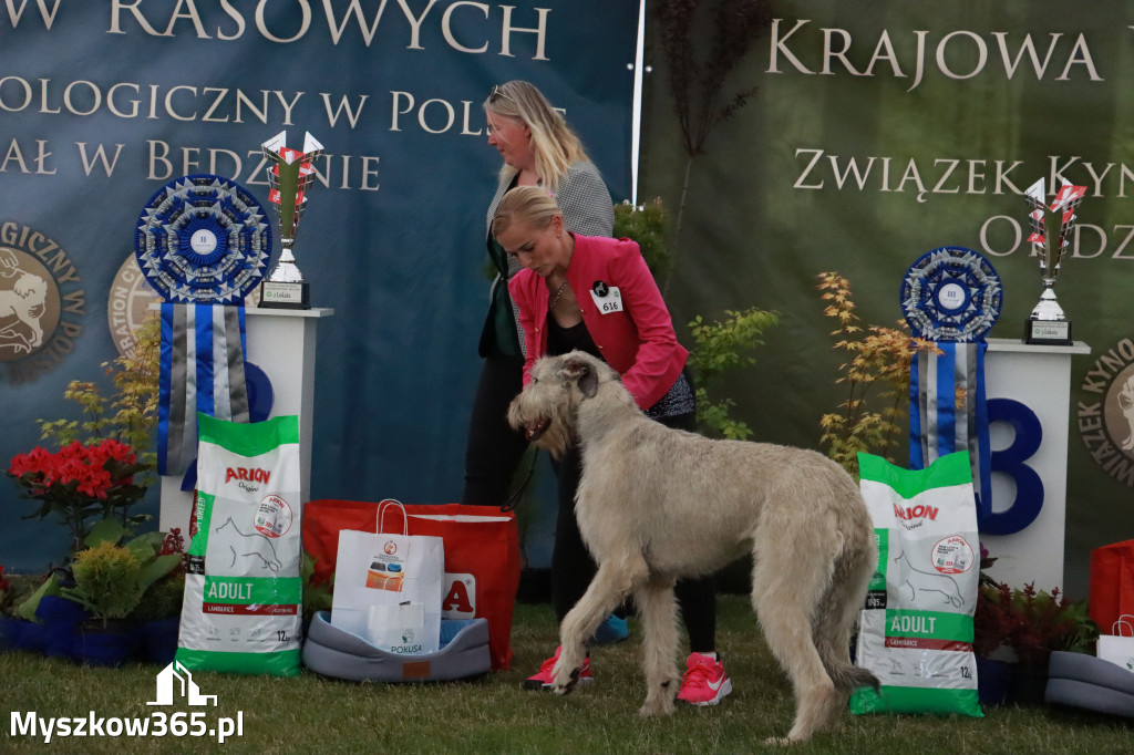 Fotorelacja - Wystawa Psów Rasowych GNIAZDÓW 2024r. SOBOTA II