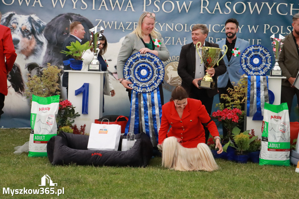 Fotorelacja - Wystawa Psów Rasowych GNIAZDÓW 2024r. SOBOTA II