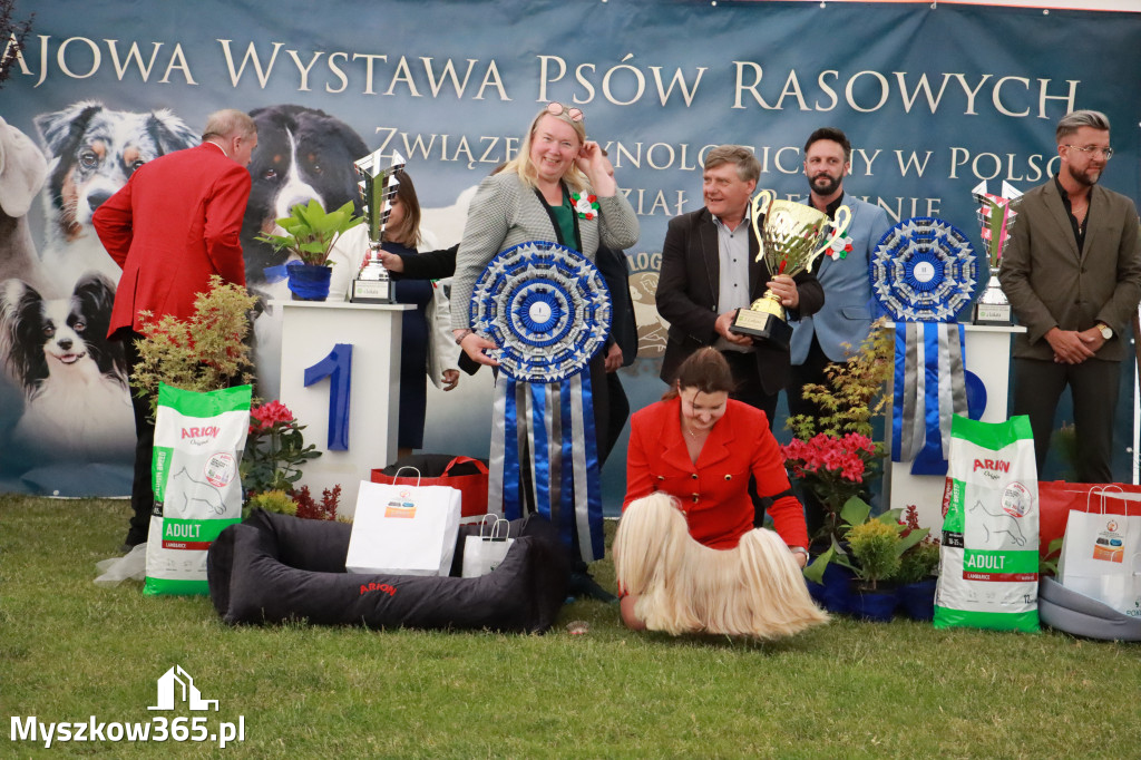 Fotorelacja - Wystawa Psów Rasowych GNIAZDÓW 2024r. SOBOTA II