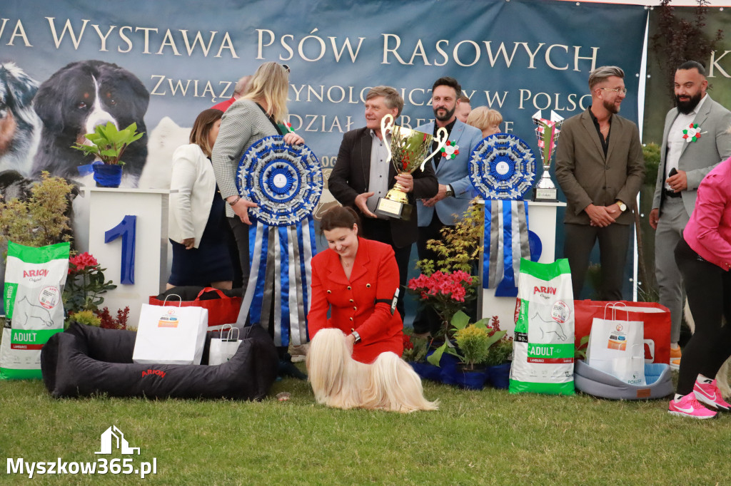 Fotorelacja - Wystawa Psów Rasowych GNIAZDÓW 2024r. SOBOTA II