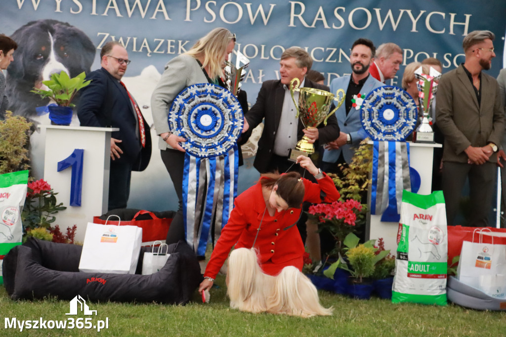 Fotorelacja - Wystawa Psów Rasowych GNIAZDÓW 2024r. SOBOTA II