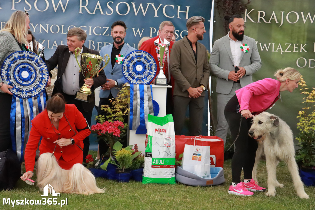 Fotorelacja - Wystawa Psów Rasowych GNIAZDÓW 2024r. SOBOTA II