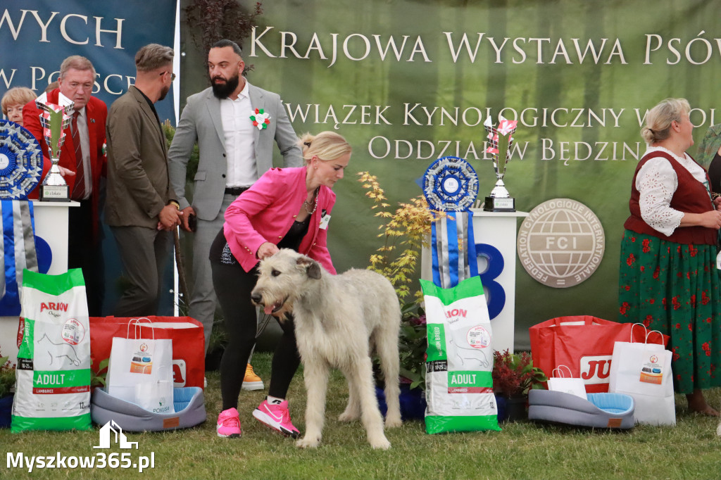 Fotorelacja - Wystawa Psów Rasowych GNIAZDÓW 2024r. SOBOTA II