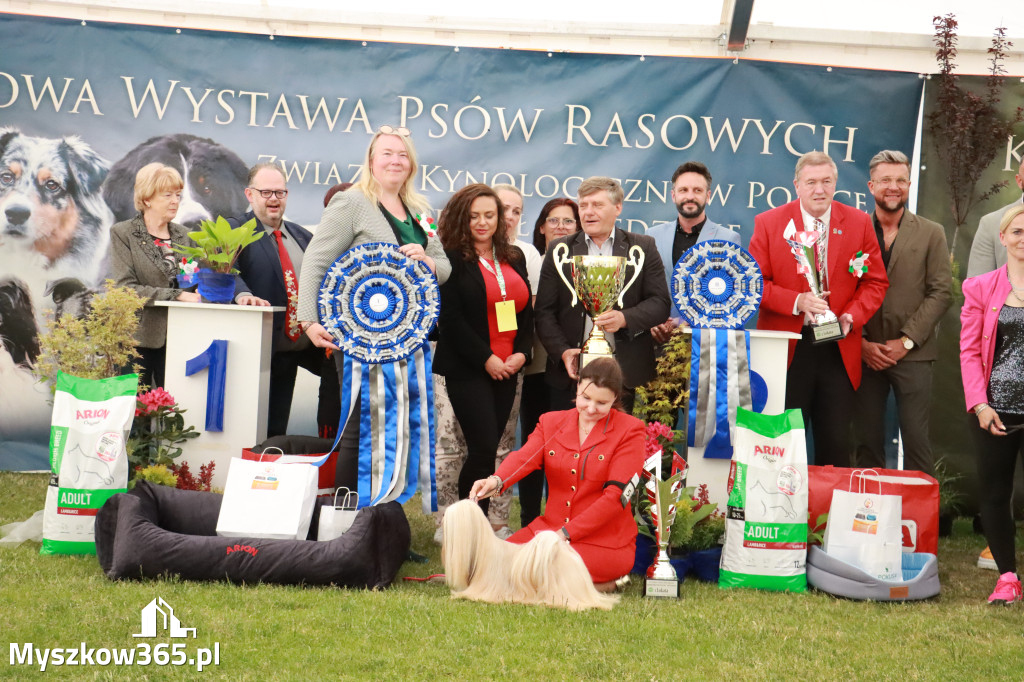 Fotorelacja - Wystawa Psów Rasowych GNIAZDÓW 2024r. SOBOTA II