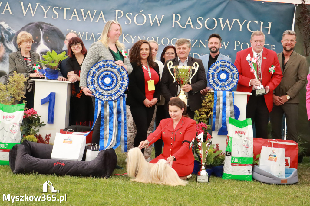 Fotorelacja - Wystawa Psów Rasowych GNIAZDÓW 2024r. SOBOTA II