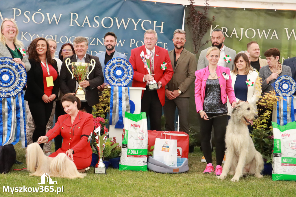 Fotorelacja - Wystawa Psów Rasowych GNIAZDÓW 2024r. SOBOTA II