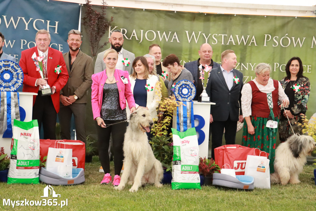 Fotorelacja - Wystawa Psów Rasowych GNIAZDÓW 2024r. SOBOTA II