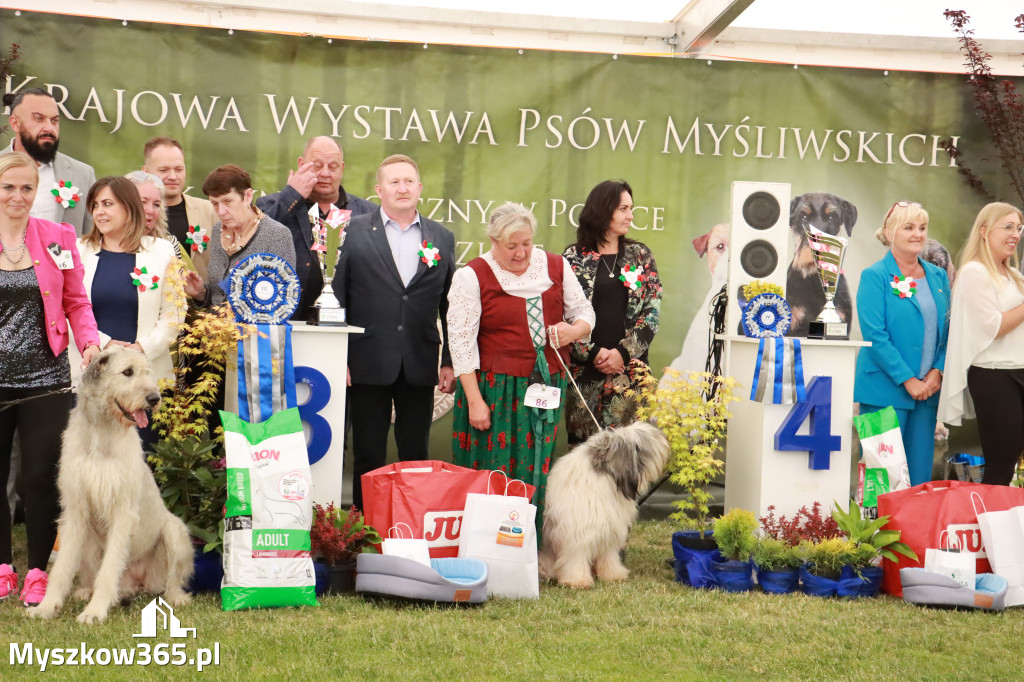 Fotorelacja - Wystawa Psów Rasowych GNIAZDÓW 2024r. SOBOTA II