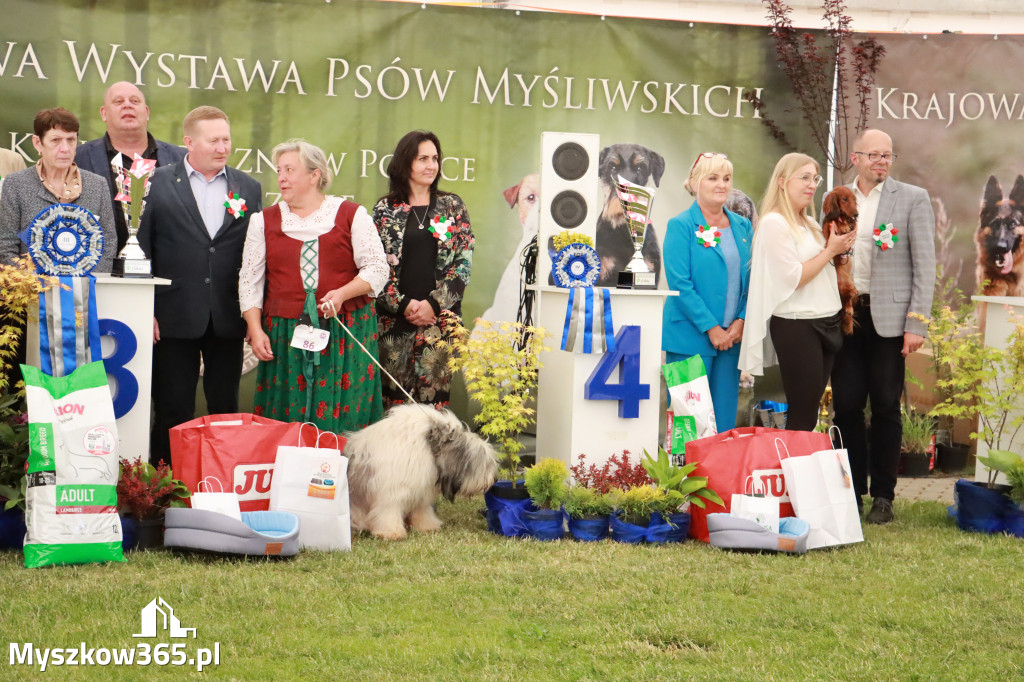 Fotorelacja - Wystawa Psów Rasowych GNIAZDÓW 2024r. SOBOTA II