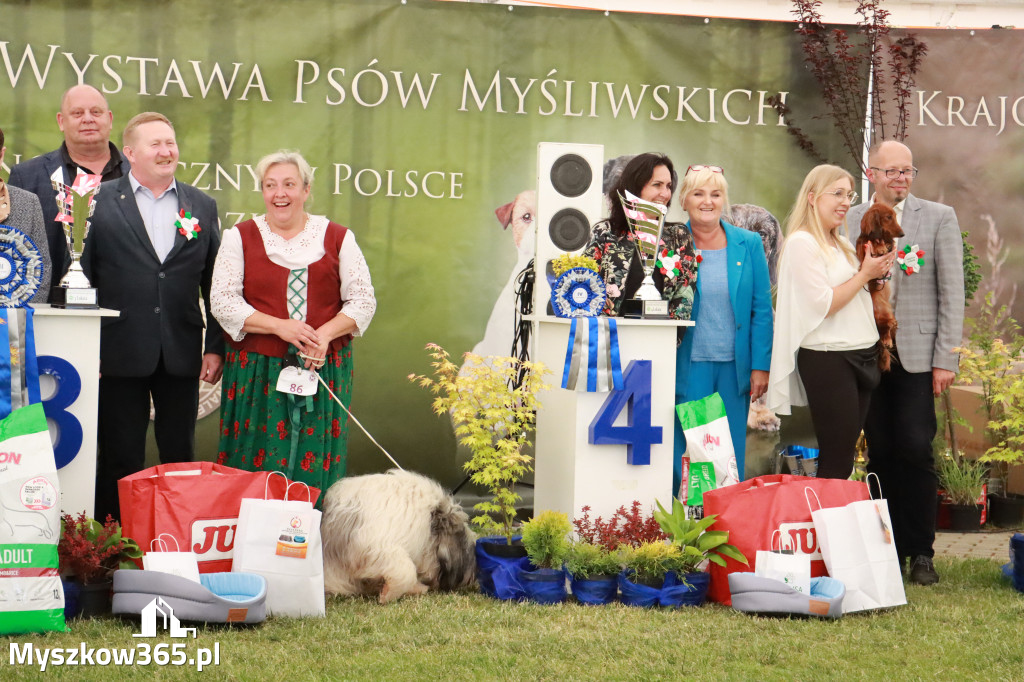 Fotorelacja - Wystawa Psów Rasowych GNIAZDÓW 2024r. SOBOTA II