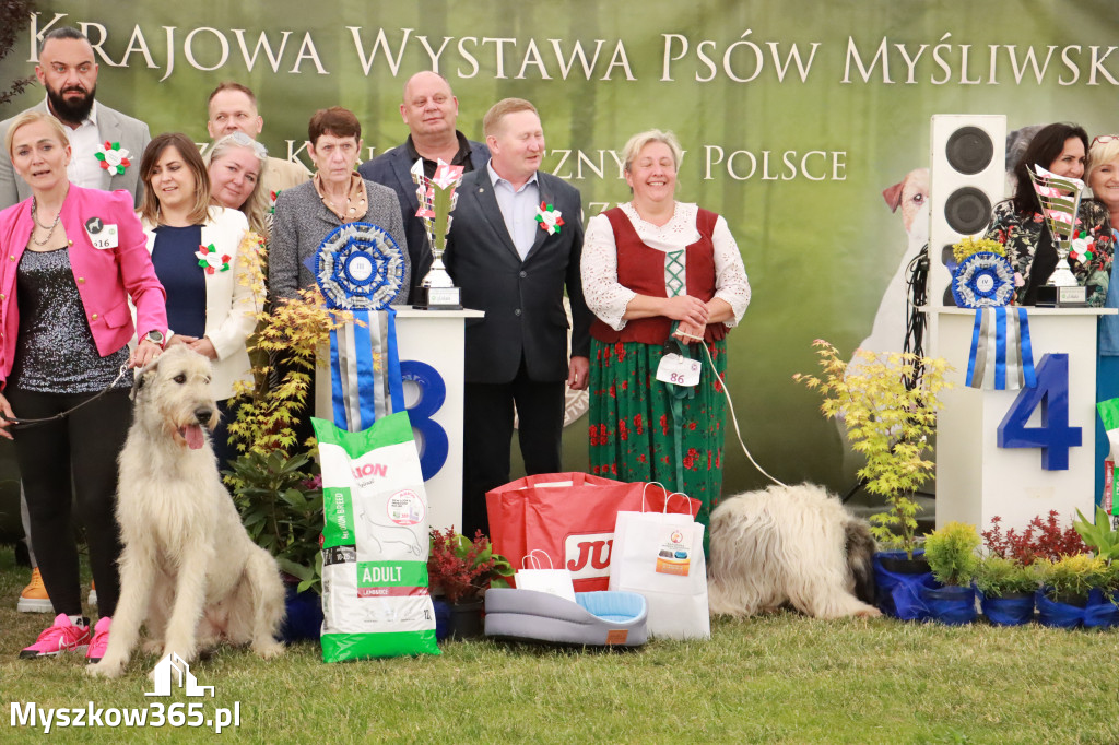 Fotorelacja - Wystawa Psów Rasowych GNIAZDÓW 2024r. SOBOTA II