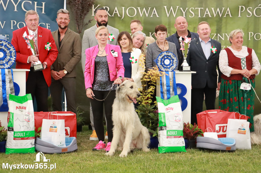 Fotorelacja - Wystawa Psów Rasowych GNIAZDÓW 2024r. SOBOTA II