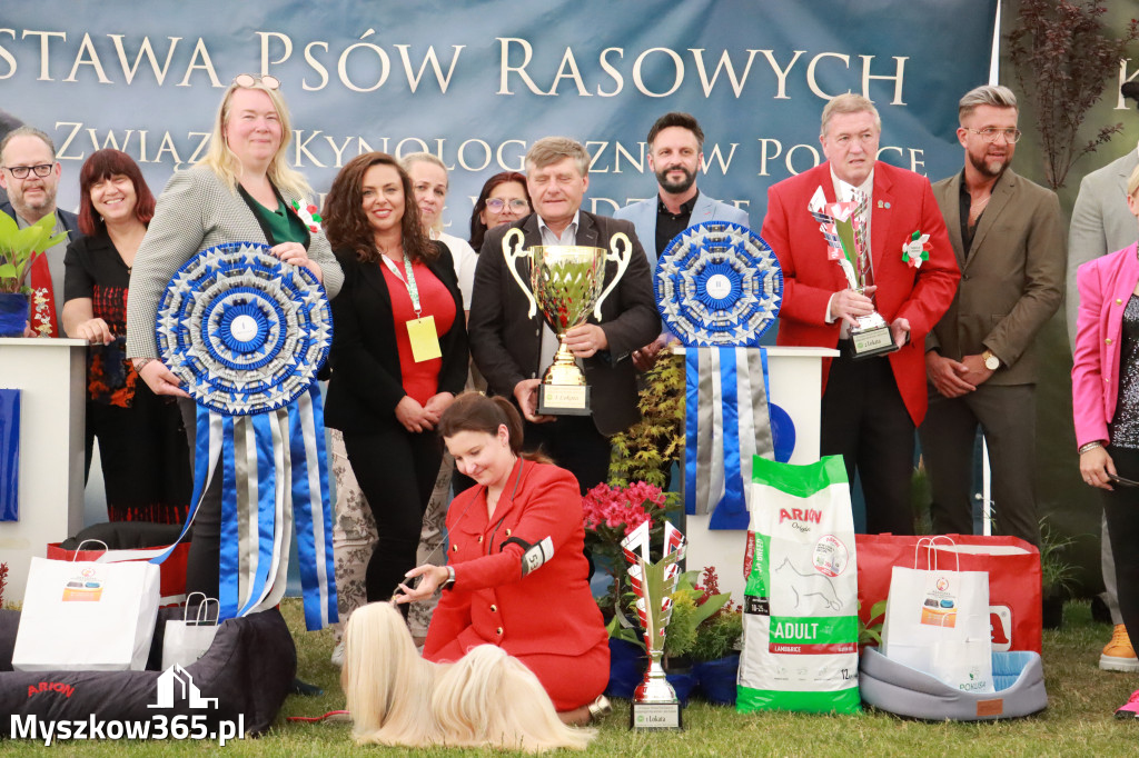 Fotorelacja - Wystawa Psów Rasowych GNIAZDÓW 2024r. SOBOTA II