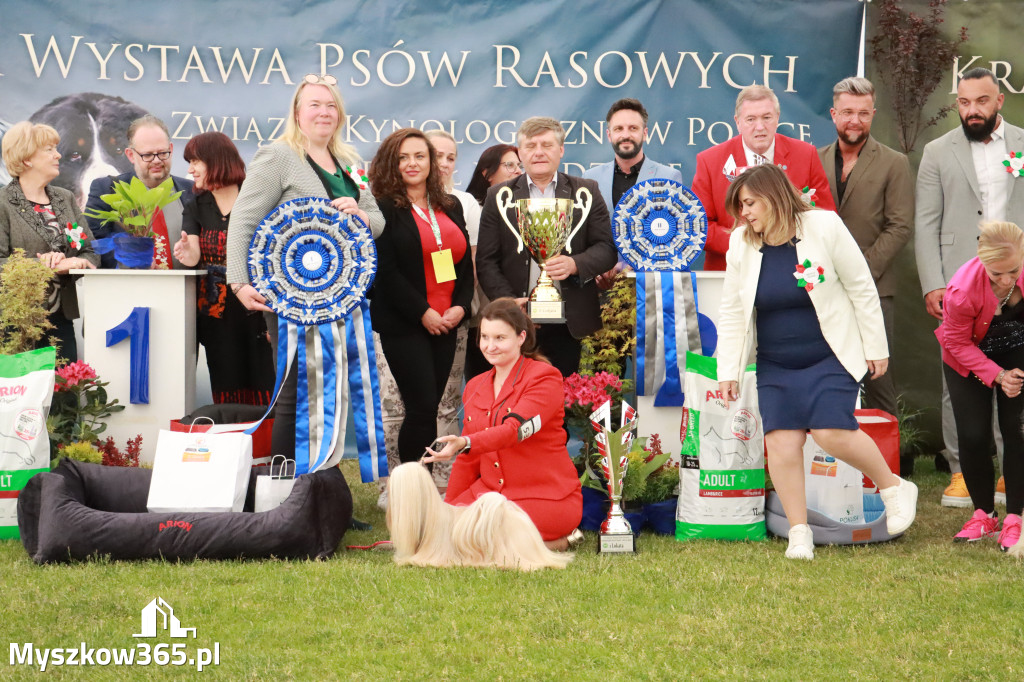 Fotorelacja - Wystawa Psów Rasowych GNIAZDÓW 2024r. SOBOTA II