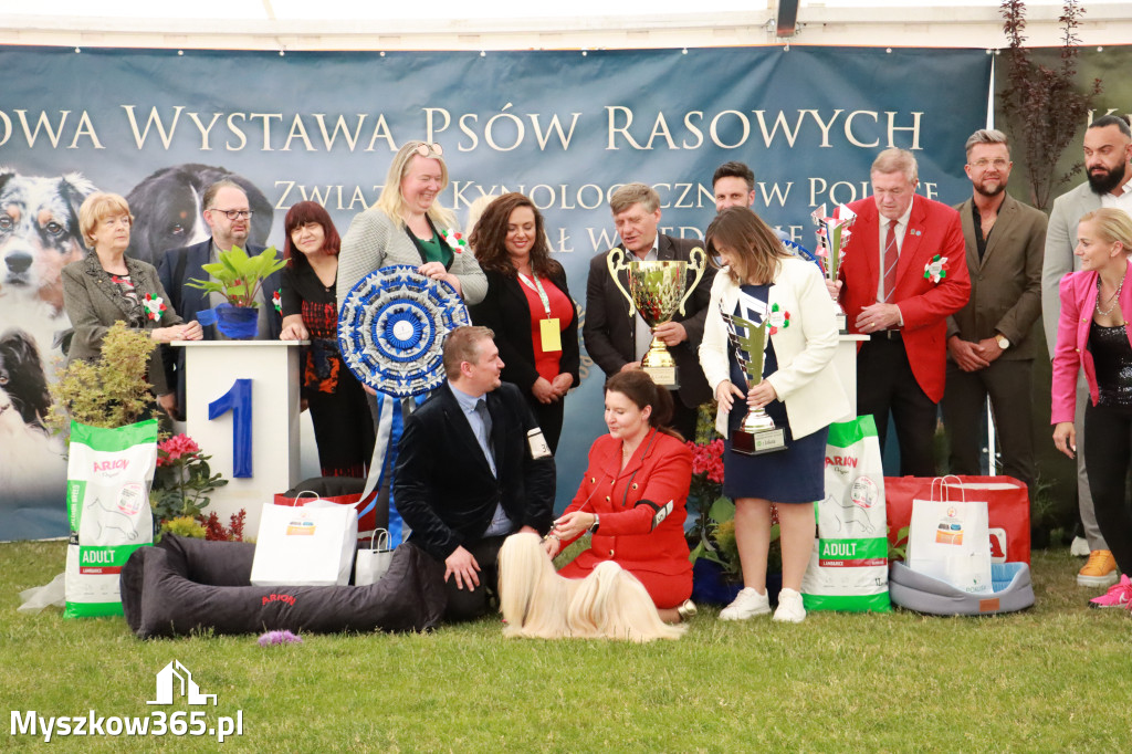 Fotorelacja - Wystawa Psów Rasowych GNIAZDÓW 2024r. SOBOTA II