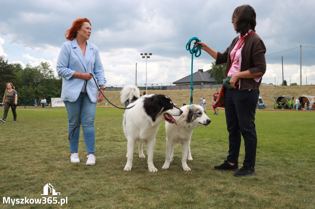 Fotorelacja - Wystawa Psów Rasowych GNIAZDÓW 2024r. NIEDZIELA I