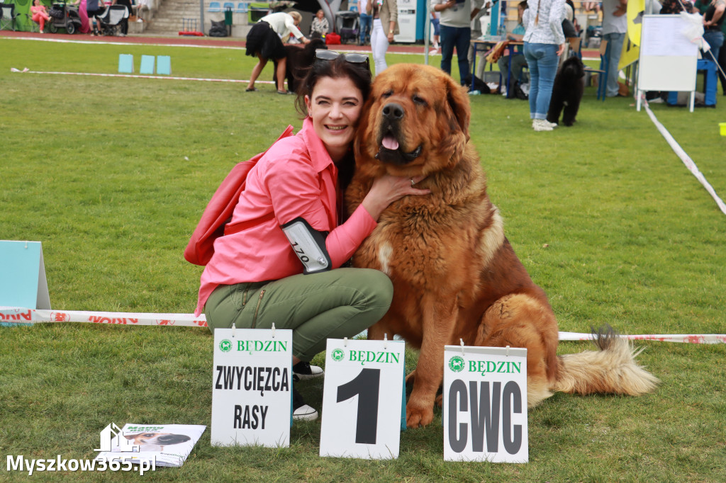 Fotorelacja - Wystawa Psów Rasowych GNIAZDÓW 2024r. NIEDZIELA I