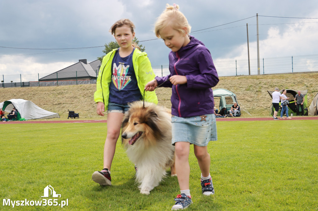 Fotorelacja - Wystawa Psów Rasowych GNIAZDÓW 2024r. NIEDZIELA I