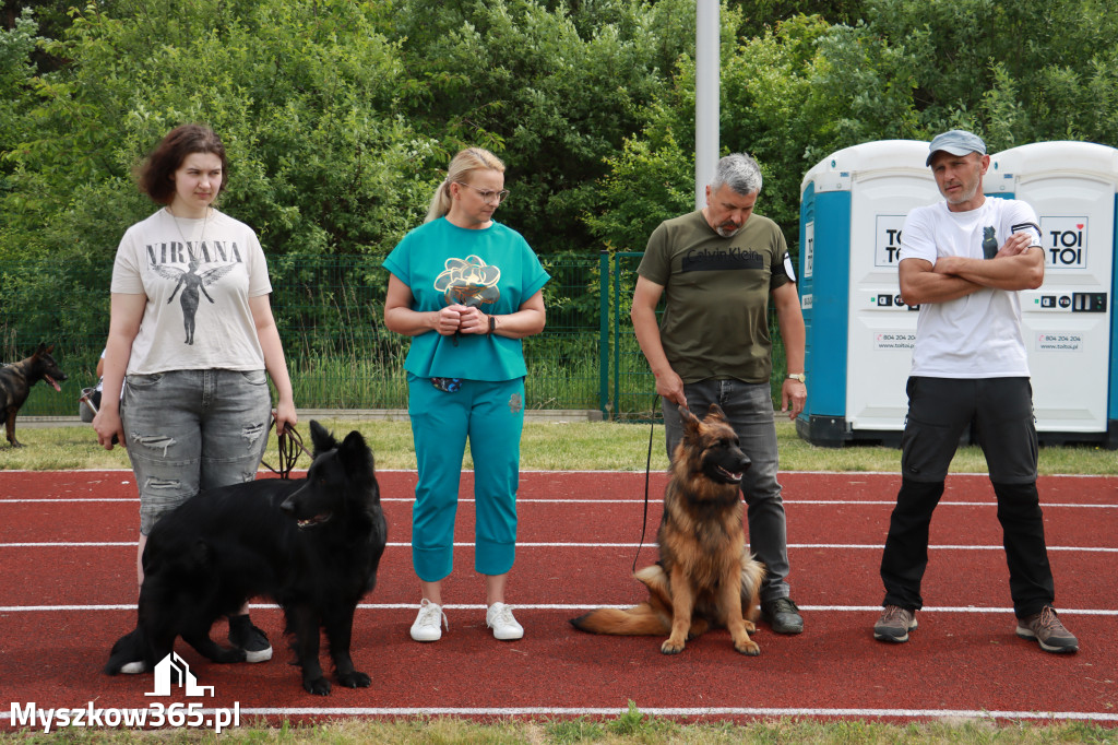 Fotorelacja - Wystawa Psów Rasowych GNIAZDÓW 2024r. NIEDZIELA I