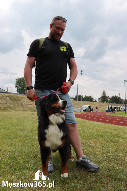 Fotorelacja - Wystawa Psów Rasowych GNIAZDÓW 2024r. NIEDZIELA I