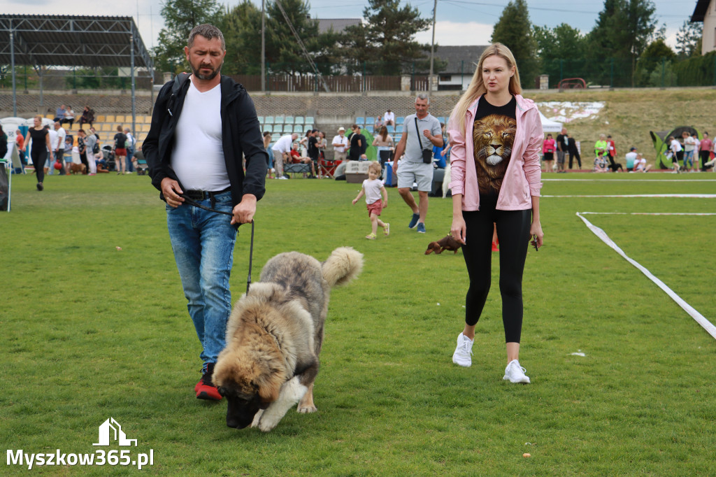 Fotorelacja - Wystawa Psów Rasowych GNIAZDÓW 2024r. NIEDZIELA I