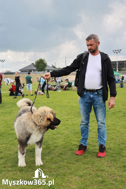 Fotorelacja - Wystawa Psów Rasowych GNIAZDÓW 2024r. NIEDZIELA I