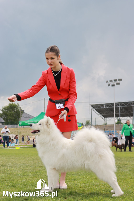 Fotorelacja - Wystawa Psów Rasowych GNIAZDÓW 2024r. NIEDZIELA I