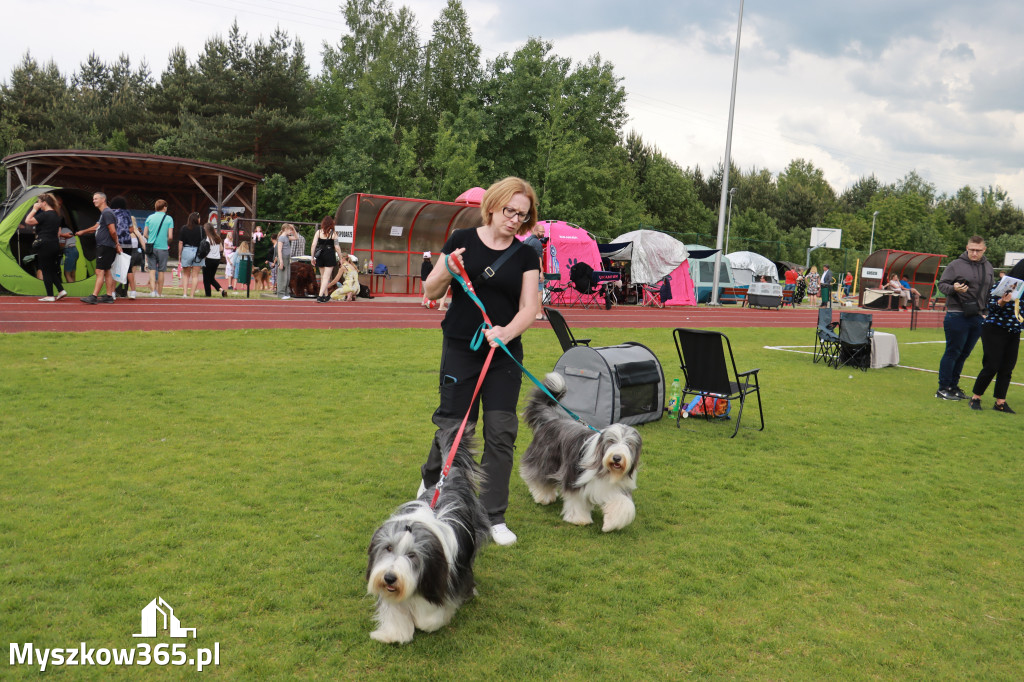 Fotorelacja - Wystawa Psów Rasowych GNIAZDÓW 2024r. NIEDZIELA I