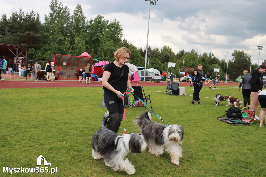 Fotorelacja - Wystawa Psów Rasowych GNIAZDÓW 2024r. NIEDZIELA I