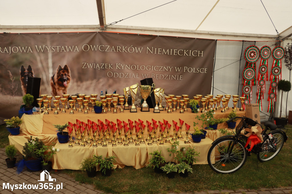 Fotorelacja - Wystawa Psów Rasowych GNIAZDÓW 2024r. NIEDZIELA I