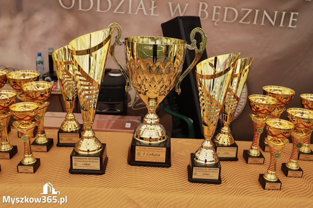 Fotorelacja - Wystawa Psów Rasowych GNIAZDÓW 2024r. NIEDZIELA I