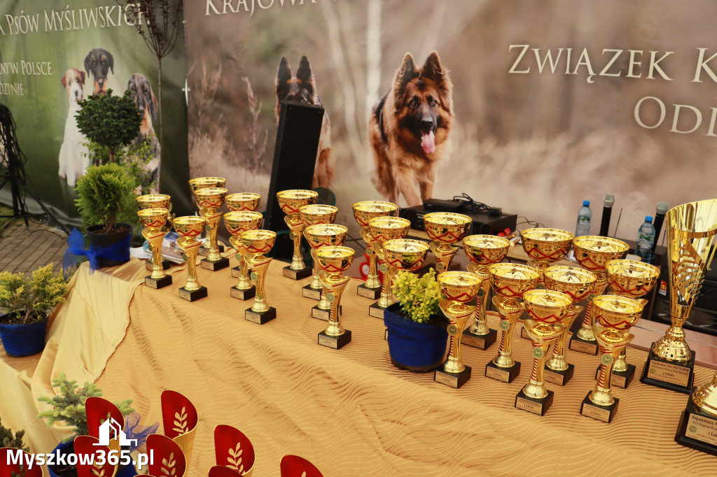 Fotorelacja - Wystawa Psów Rasowych GNIAZDÓW 2024r. NIEDZIELA I