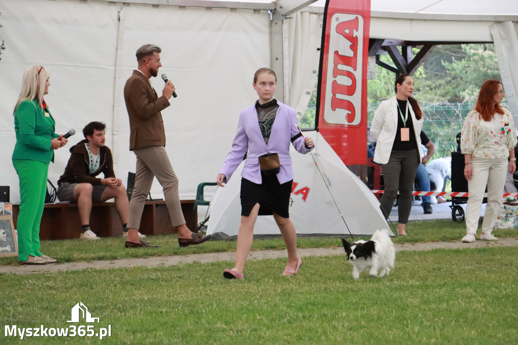 Fotorelacja - Wystawa Psów Rasowych GNIAZDÓW 2024r. NIEDZIELA I