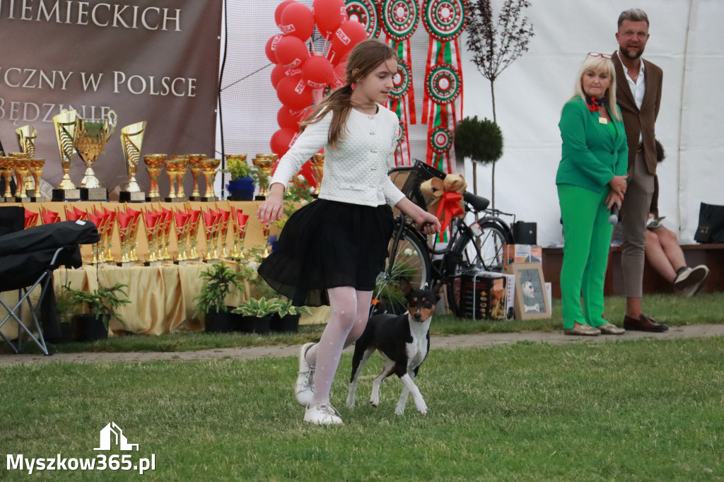 Fotorelacja - Wystawa Psów Rasowych GNIAZDÓW 2024r. NIEDZIELA I