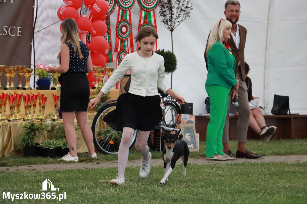 Fotorelacja - Wystawa Psów Rasowych GNIAZDÓW 2024r. NIEDZIELA I