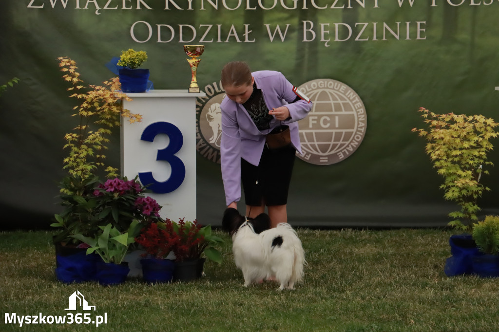 Fotorelacja - Wystawa Psów Rasowych GNIAZDÓW 2024r. NIEDZIELA I