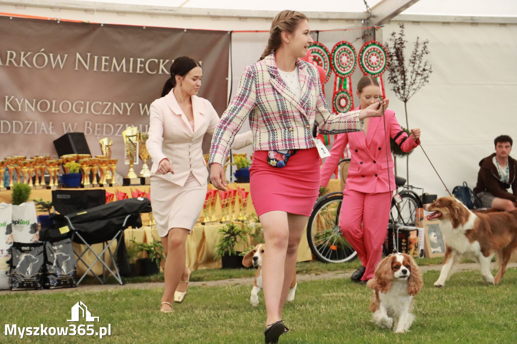 Fotorelacja - Wystawa Psów Rasowych GNIAZDÓW 2024r. NIEDZIELA I