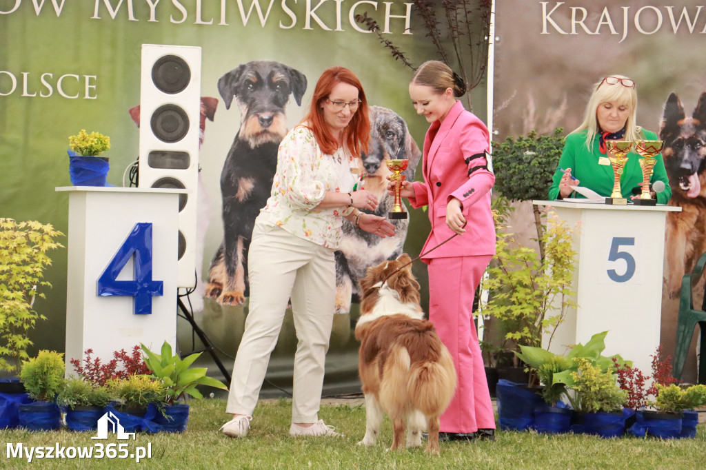 Fotorelacja - Wystawa Psów Rasowych GNIAZDÓW 2024r. NIEDZIELA I