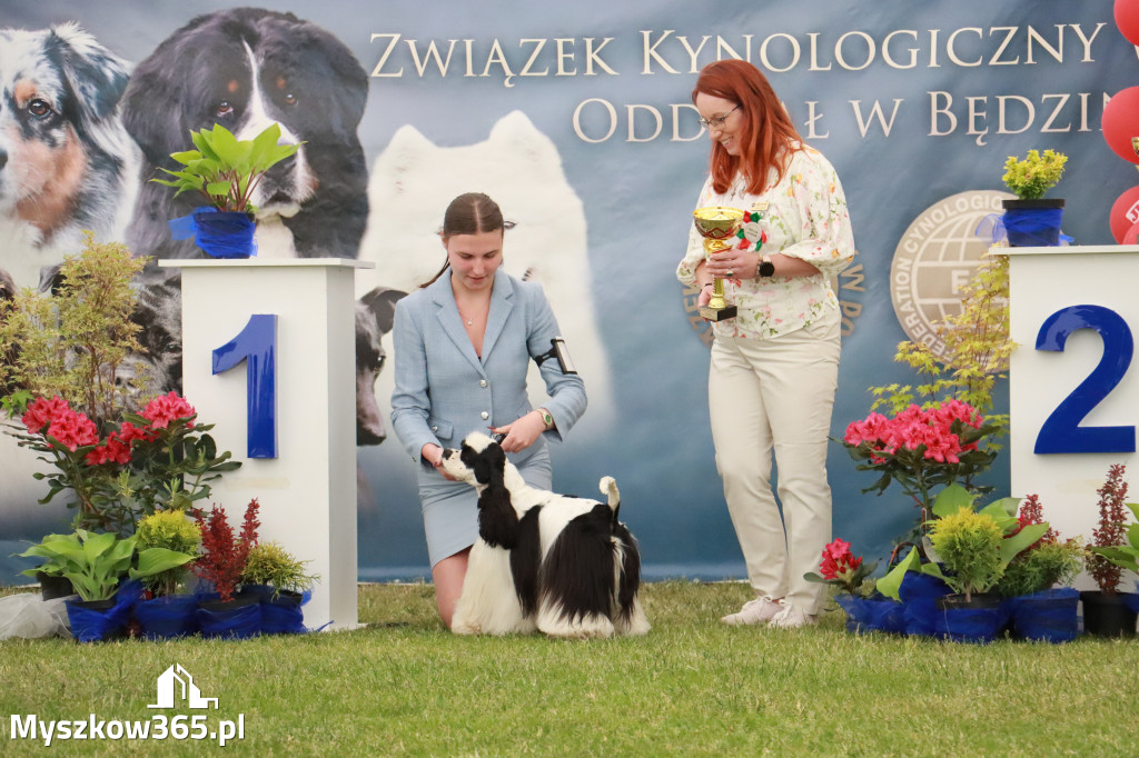Fotorelacja - Wystawa Psów Rasowych GNIAZDÓW 2024r. NIEDZIELA I