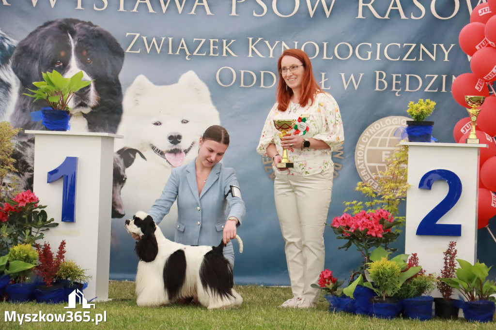 Fotorelacja - Wystawa Psów Rasowych GNIAZDÓW 2024r. NIEDZIELA I