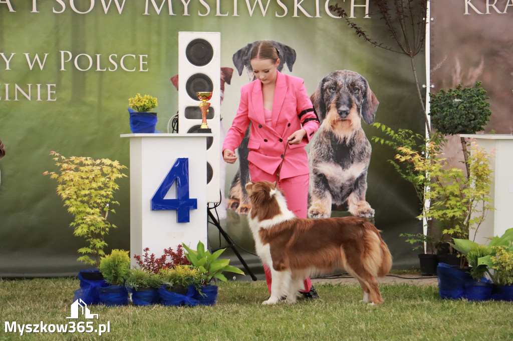 Fotorelacja - Wystawa Psów Rasowych GNIAZDÓW 2024r. NIEDZIELA I
