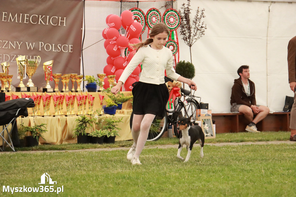 Fotorelacja - Wystawa Psów Rasowych GNIAZDÓW 2024r. NIEDZIELA I