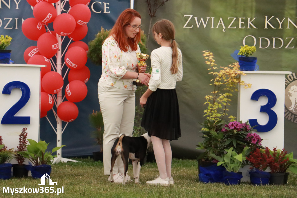 Fotorelacja - Wystawa Psów Rasowych GNIAZDÓW 2024r. NIEDZIELA I