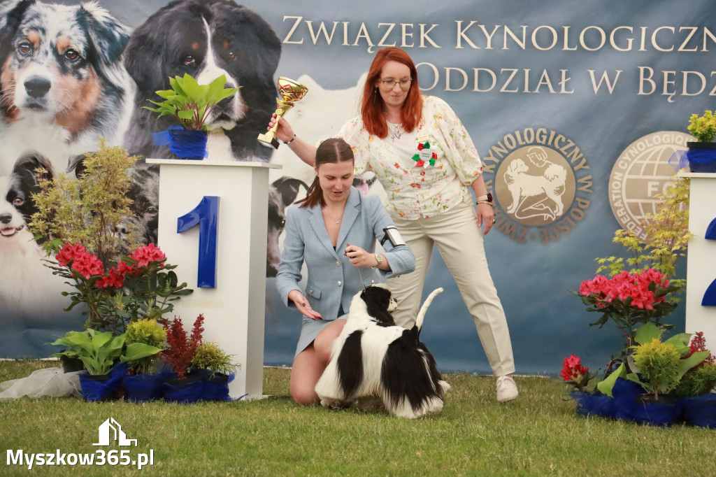 Fotorelacja - Wystawa Psów Rasowych GNIAZDÓW 2024r. NIEDZIELA I