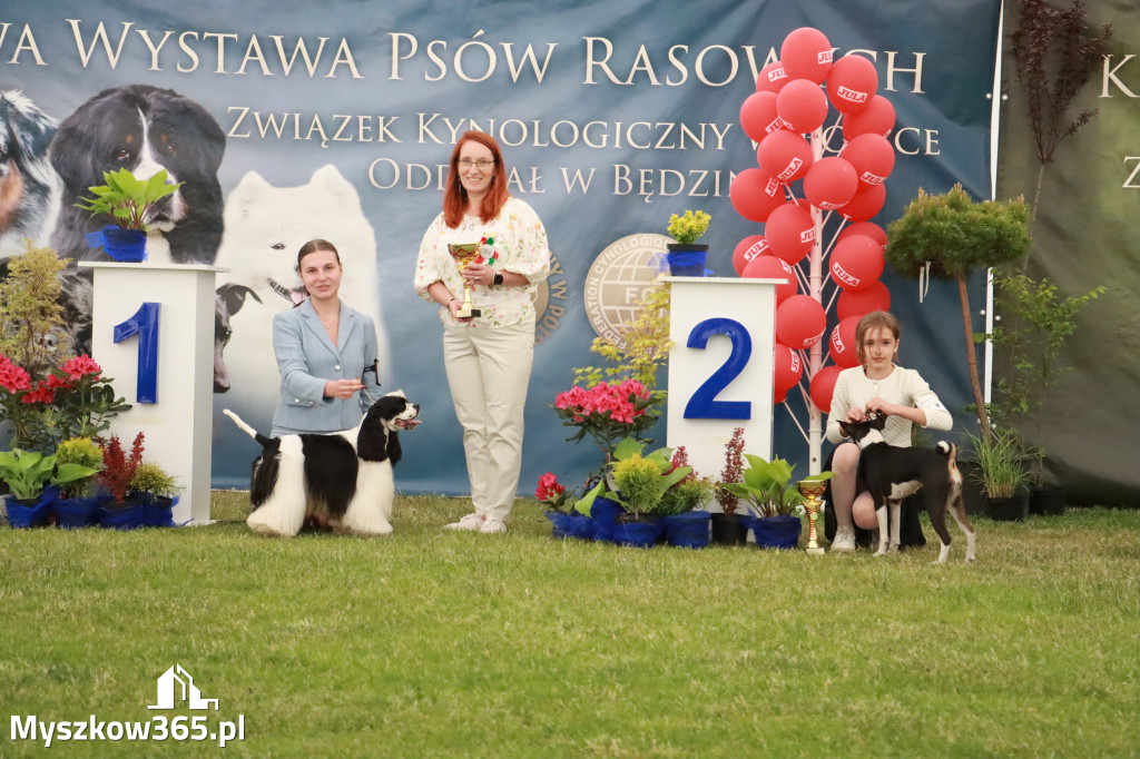 Fotorelacja - Wystawa Psów Rasowych GNIAZDÓW 2024r. NIEDZIELA I